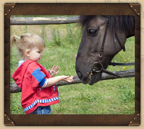 little girl with horse